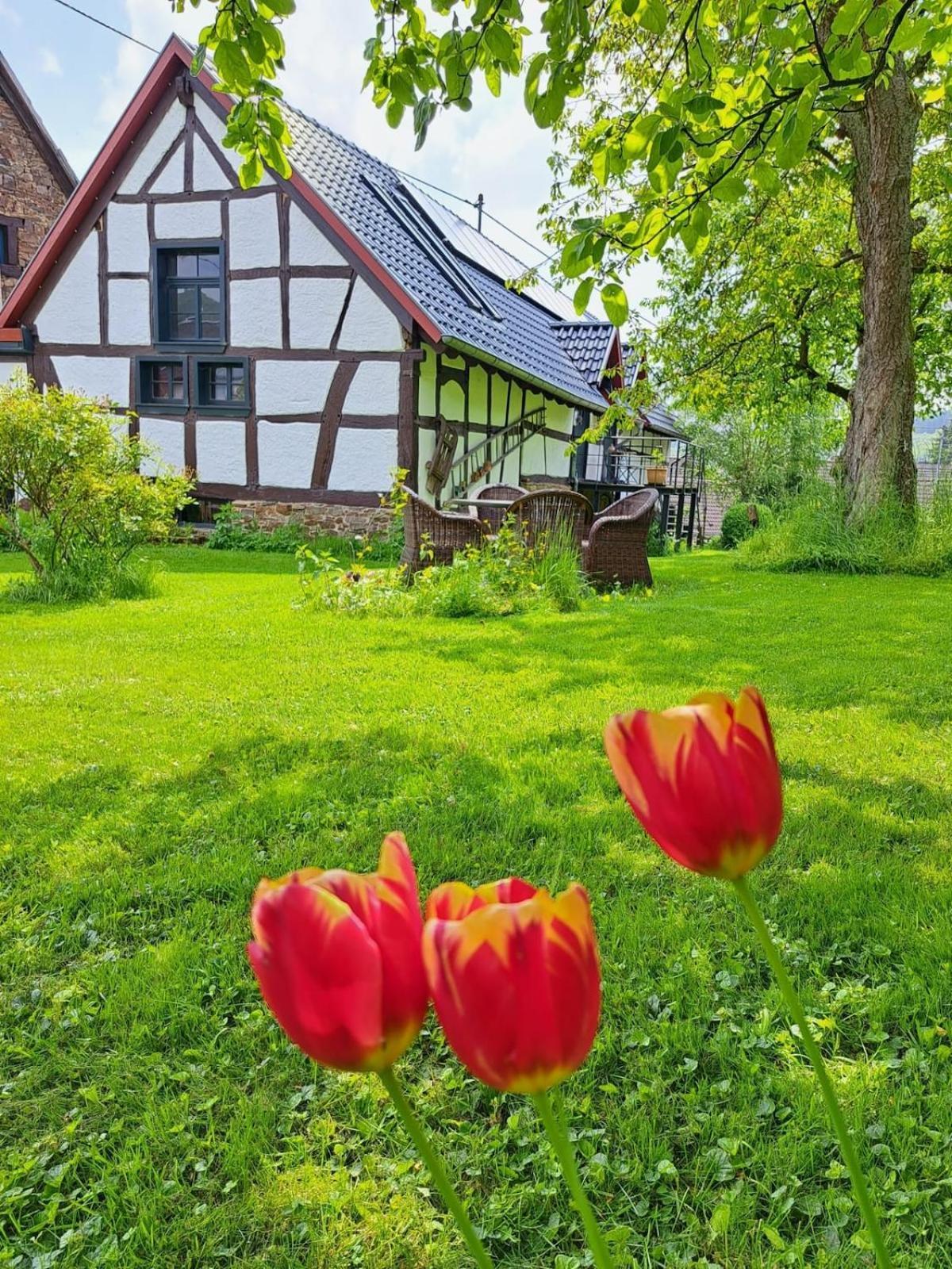 אנטוויילר Landhaus Am Aremberg / Eifel מראה חיצוני תמונה